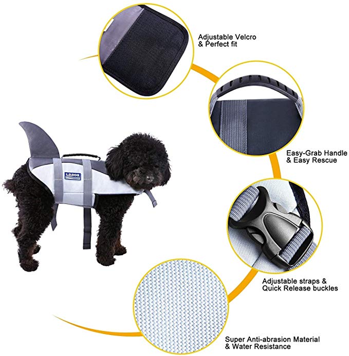 Best Small Dog Life Jacket 2020 Price & Review