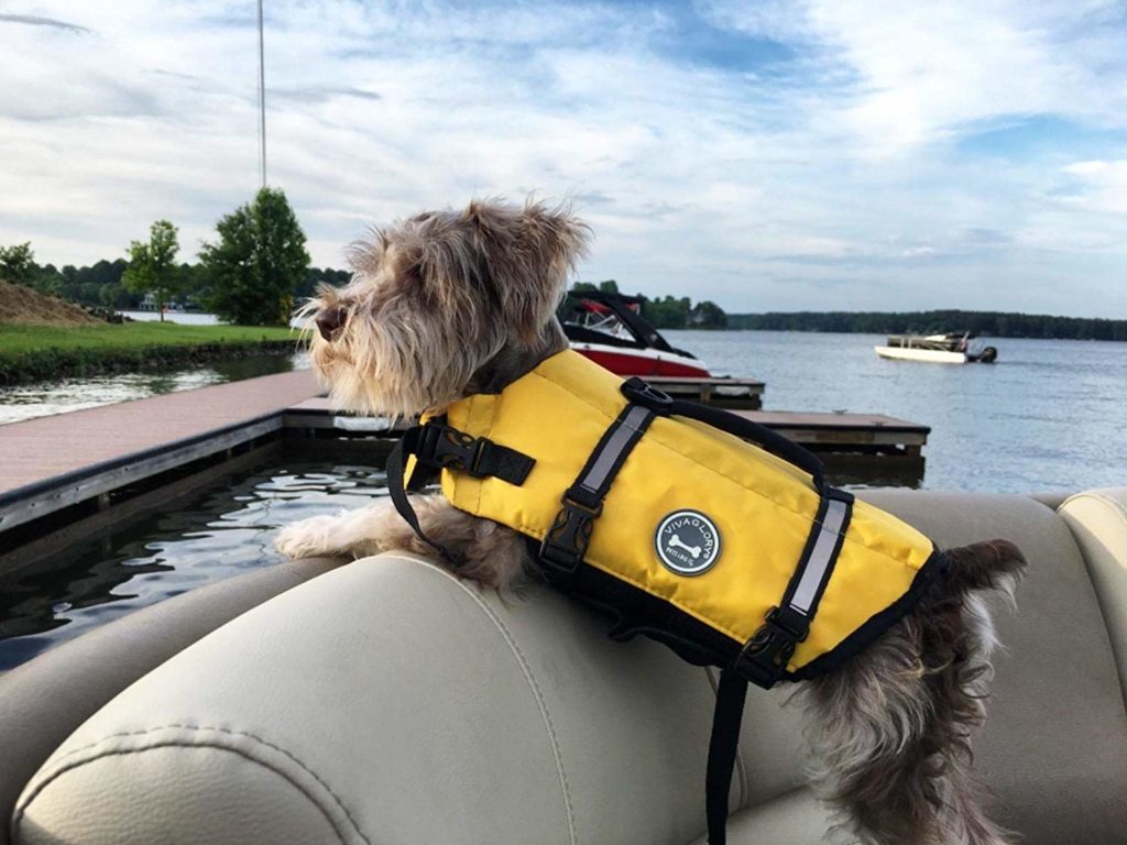 Best Small Dog Life Jacket 2020 Price & Review